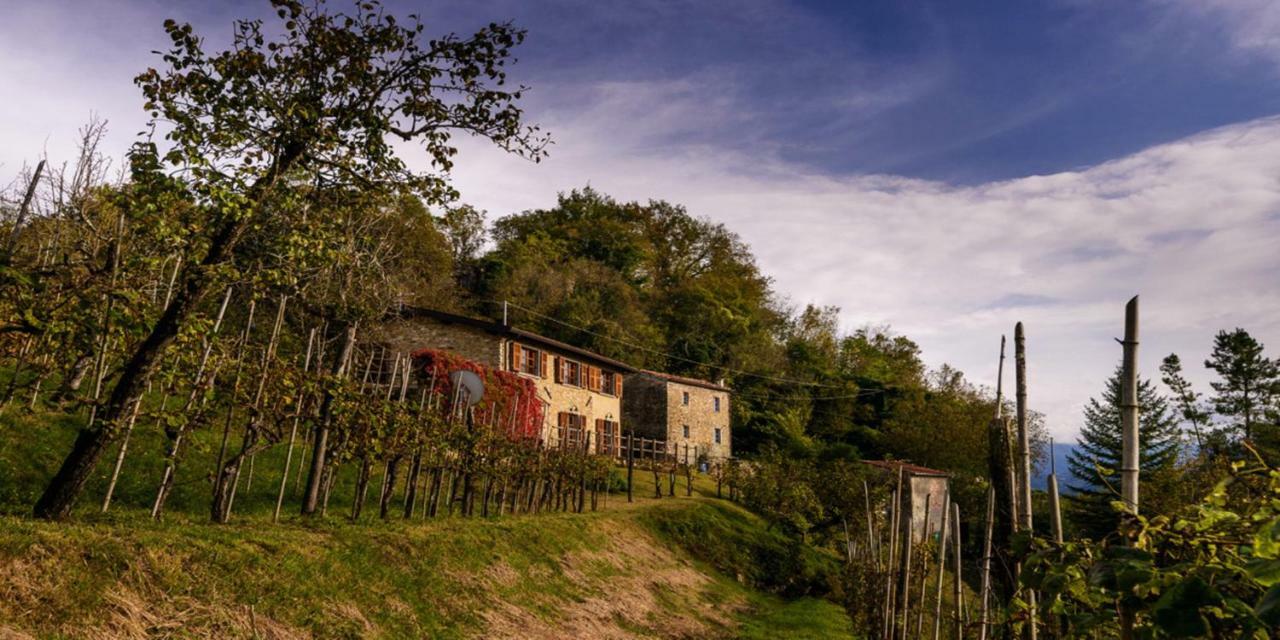 Casa vacanze Casa Del'orto *